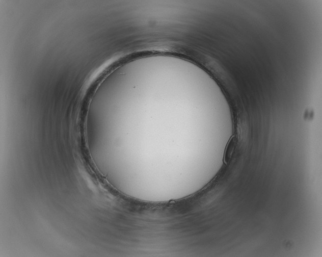 X0000110730532200907022112