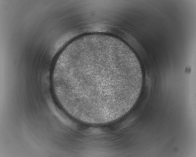 X0000110730534200907022112