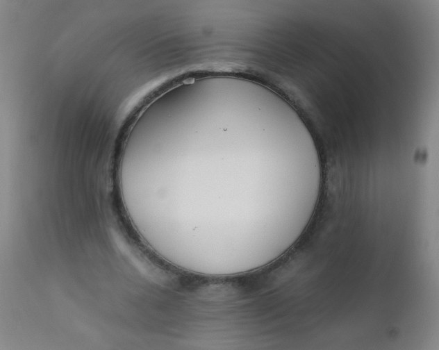 X0000110730536200907022112