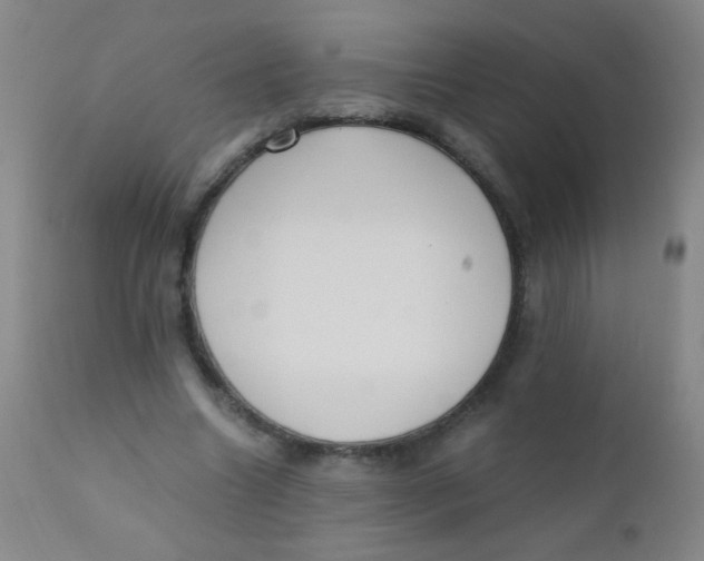 X0000110730538200907022112