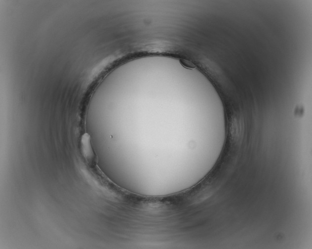 X0000110730540200907022112