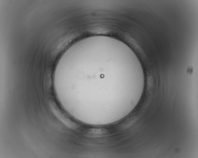 X0000110730541200907022112