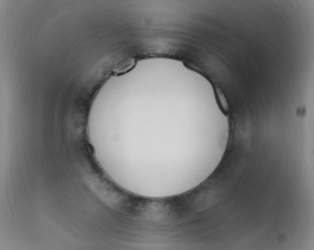 X0000110730546200907022112