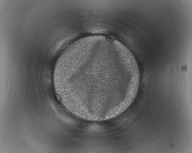 X0000110730547200907022112