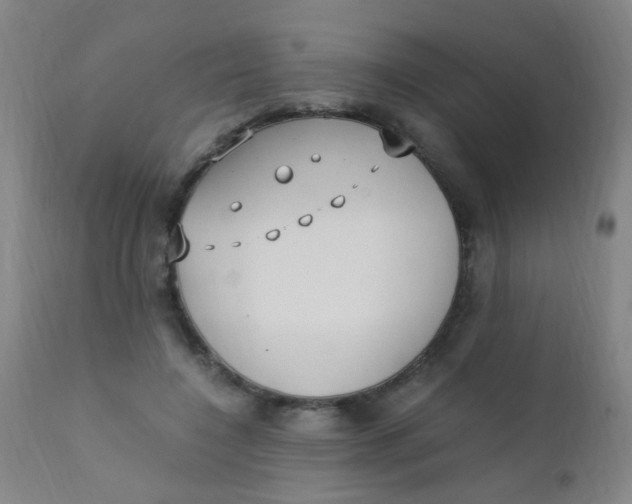 X0000110730548200907022112