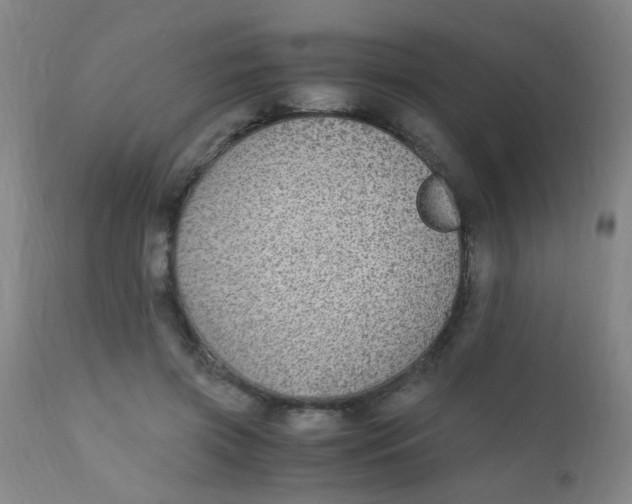 X0000110730549200907022112