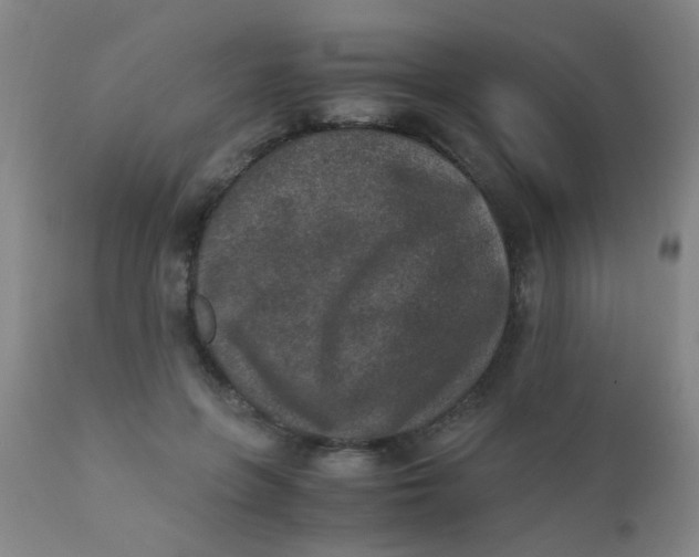 X0000110730551200907022112