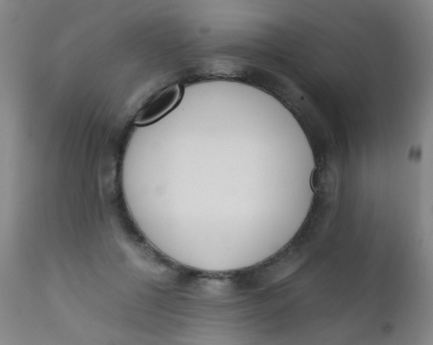 X0000110730552200907022112