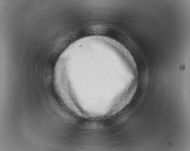 X0000110730553200907022112