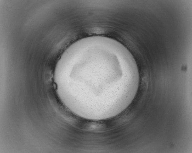 X0000110730555200907022112