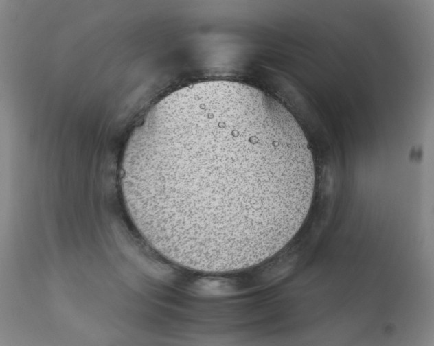 X0000110730557200907022112