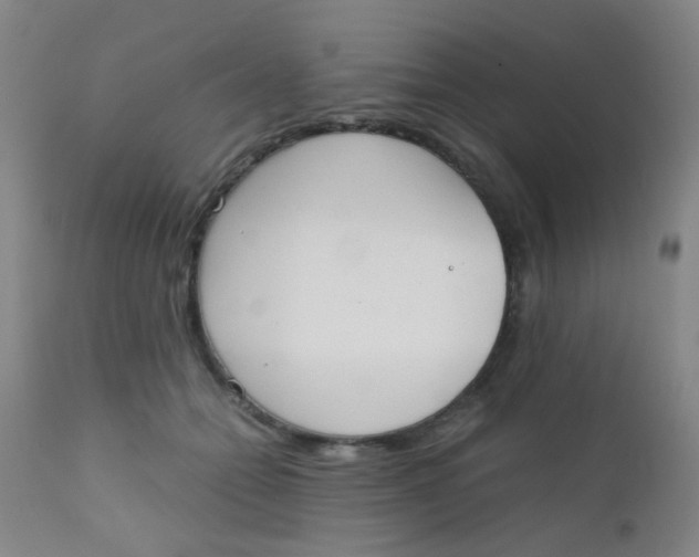 X0000110730558200907022112