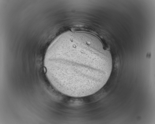 X0000110730559200907022112