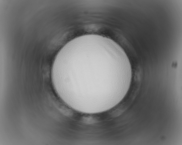 X0000110730561200907022112