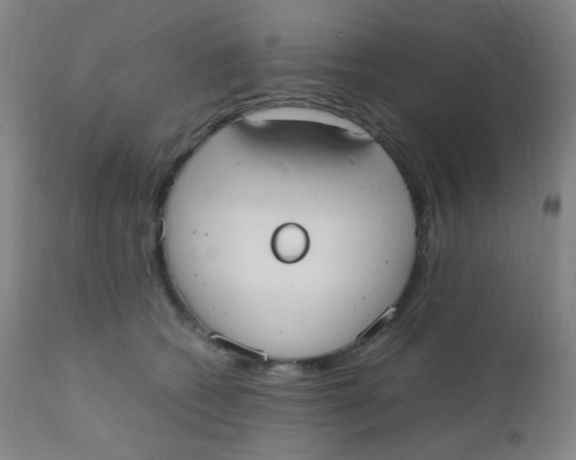 X0000110730562200907022112