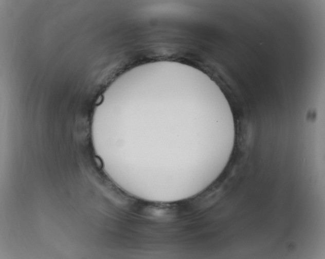 X0000110730563200907022112