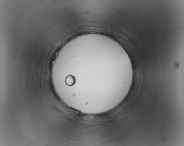 X0000110730564200907022112