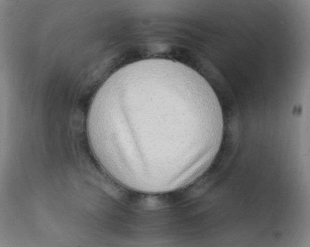 X0000110730565200907022112