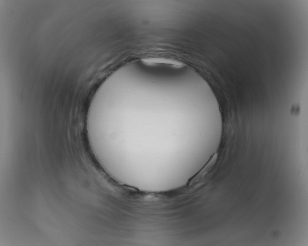 X0000110730566200907022112