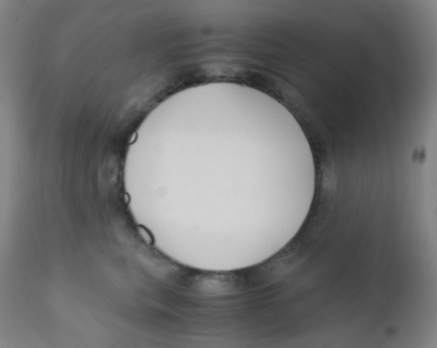 X0000110730567200907022113