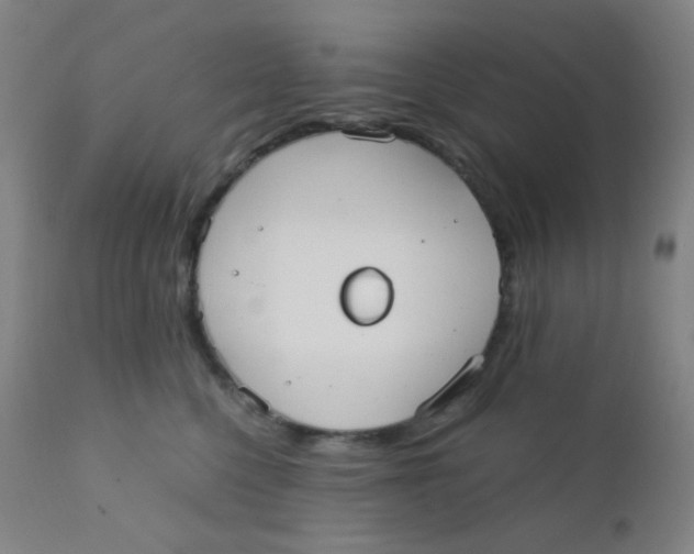 X0000110730568200907022113