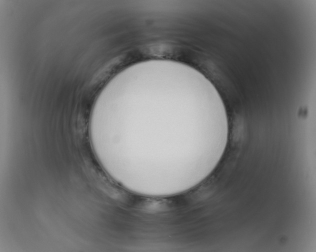 X0000110730569200907022113