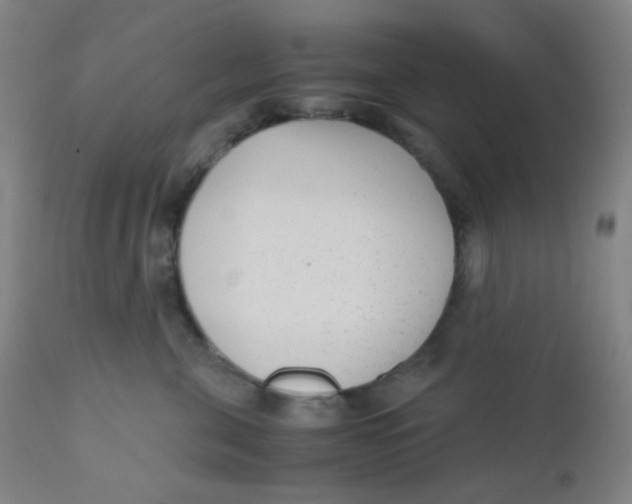 X0000110730571200907022113