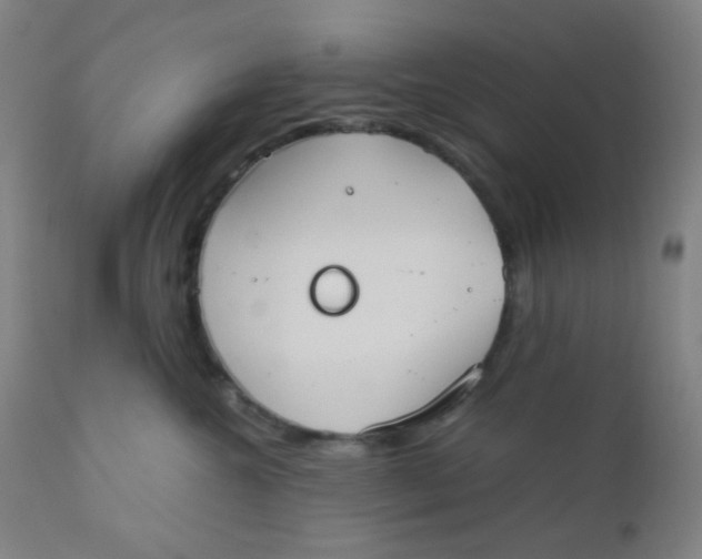 X0000110730572200907022113