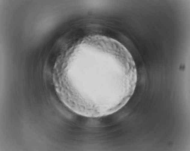 X0000110730573200907022113