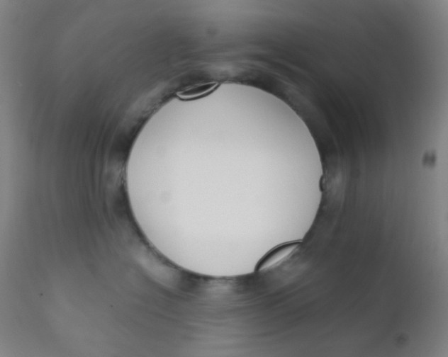 X0000110730574200907022113