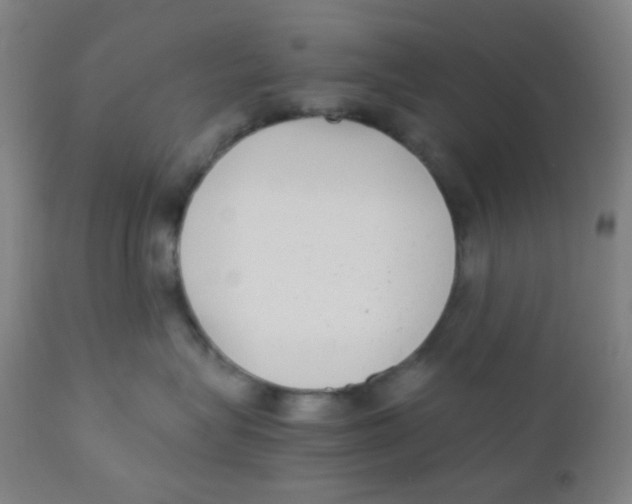 X0000110730575200907022113