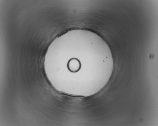 X0000110730576200907022113