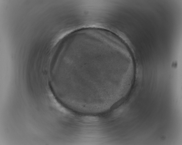 X0000110730577200907022112