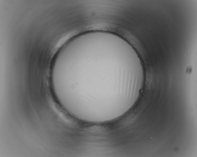 X0000110730578200907022112