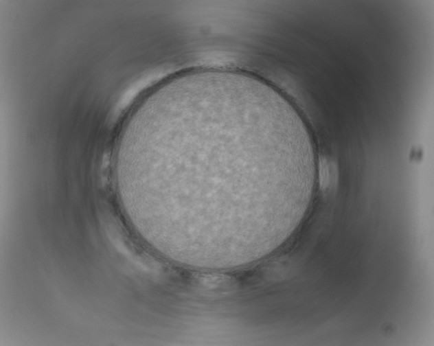 X0000110730579200907022112