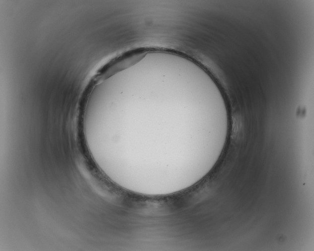 X0000110730580200907022112