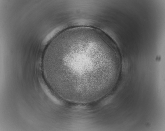 X0000110730581200907022112