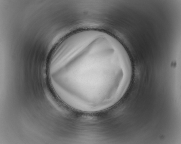 X0000110730582200907022112