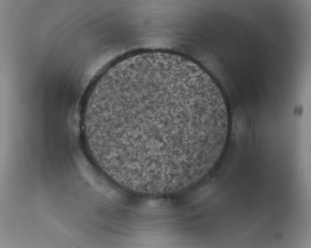 X0000110730584200907022112