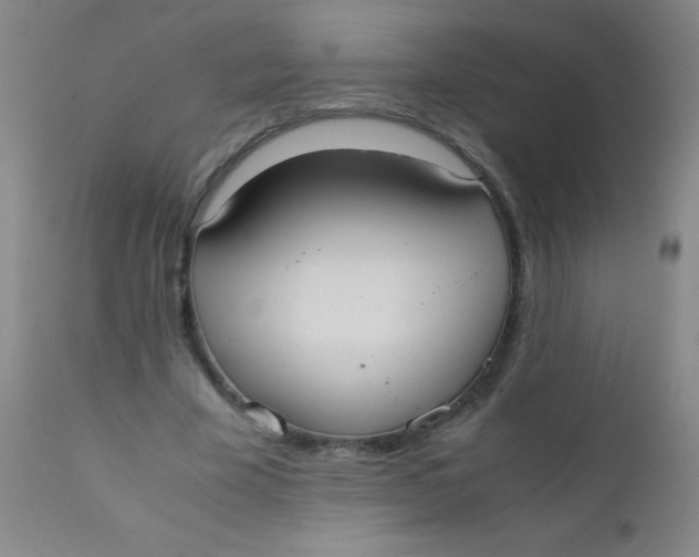 X0000110730585200907022112