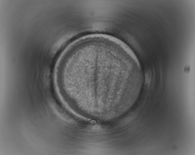 X0000110730588200907022112