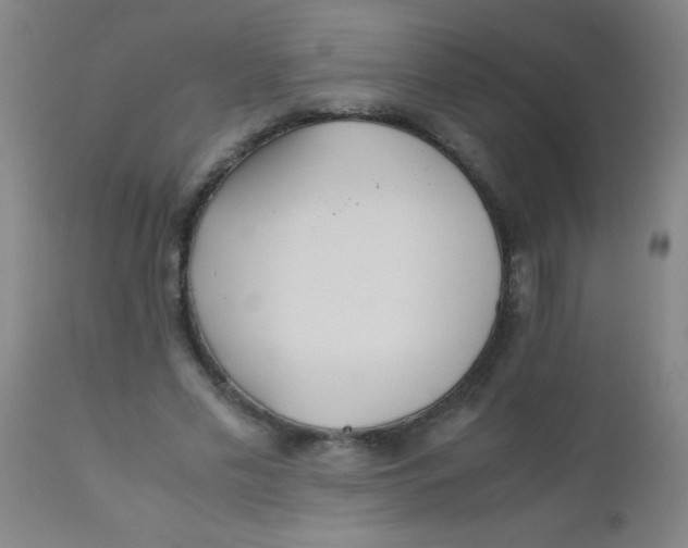 X0000110730589200907022112