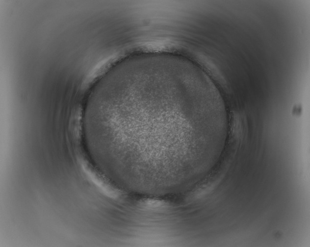 X0000110730590200907022112