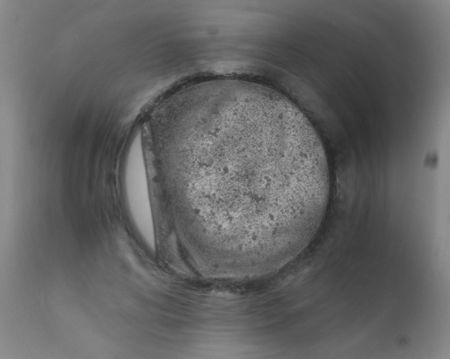 X0000110730592200907022112