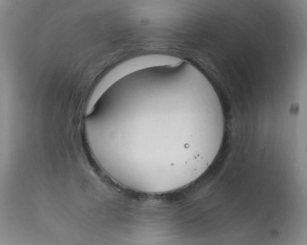 X0000110730593200907022112