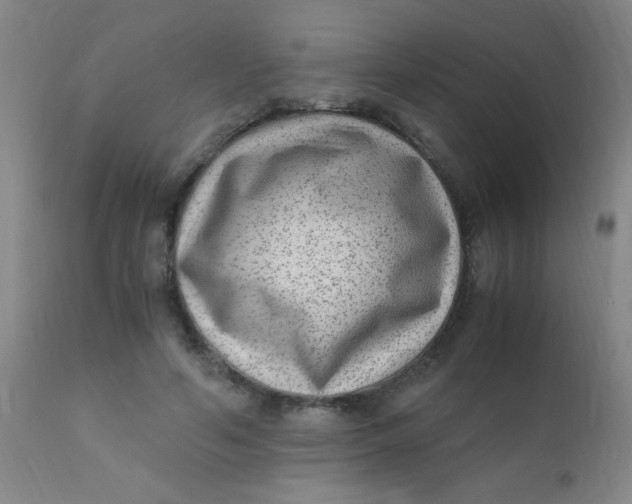 X0000110730594200907022112