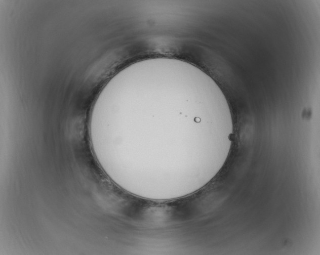 X0000110730595200907022112