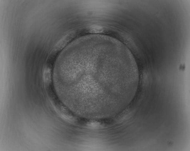 X0000110730598200907022112