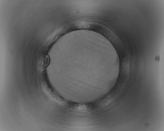 X0000110730600200907022112