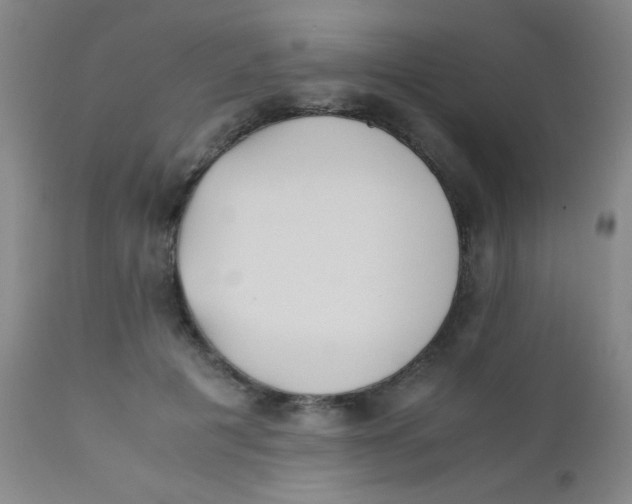 X0000110730601200907022112